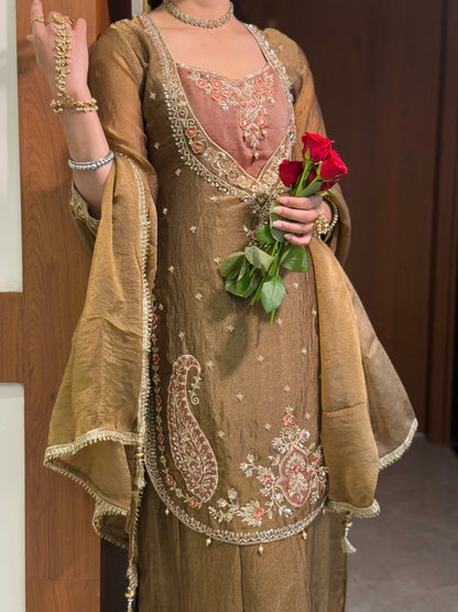 Chandtara Silk Embroidered Suit (Brown) (MK396).