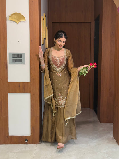 Chandtara Silk Embroidered Suit (Brown) (MK396).
