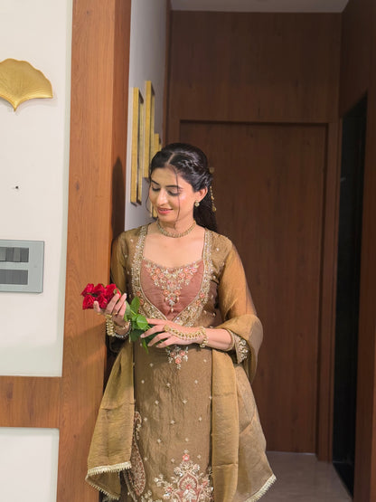 Chandtara Silk Embroidered Suit (Brown) (MK396).