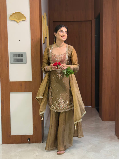 Chandtara Silk Embroidered Suit (Brown) (MK396).