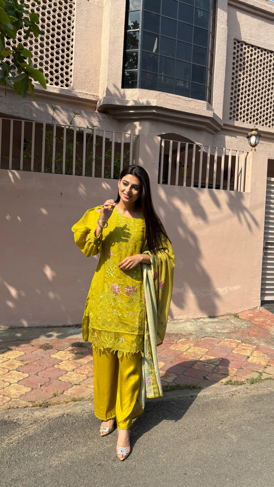 Meher Noor Kurta Set(MK329)