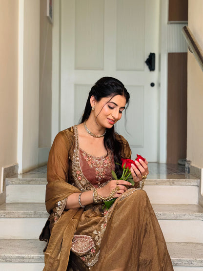 Chandtara Silk Embroidered Suit (Brown) (MK396).