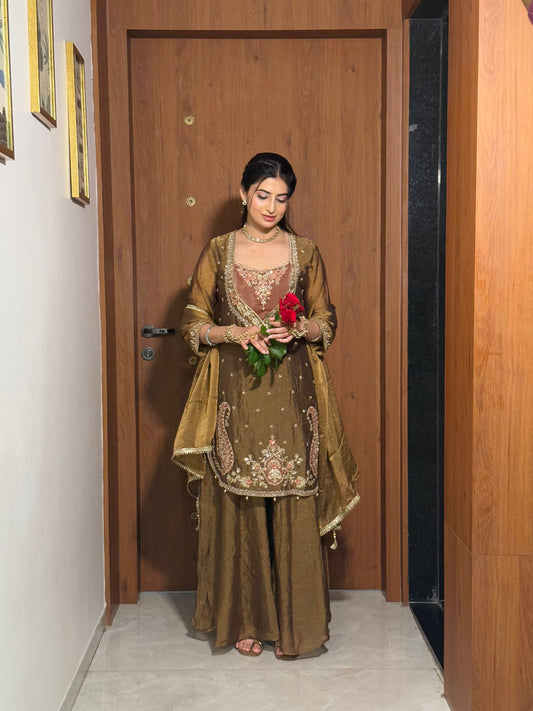 Chandtara Silk Embroidered Suit (Brown) (MK396).