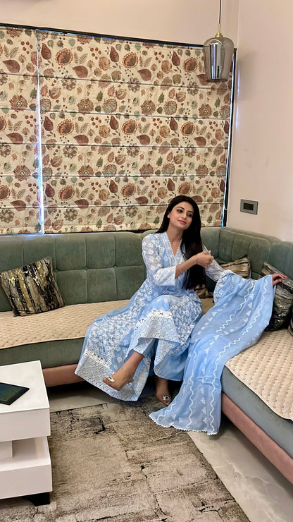 Blue Chikankari Cotton Anarkali Suit.