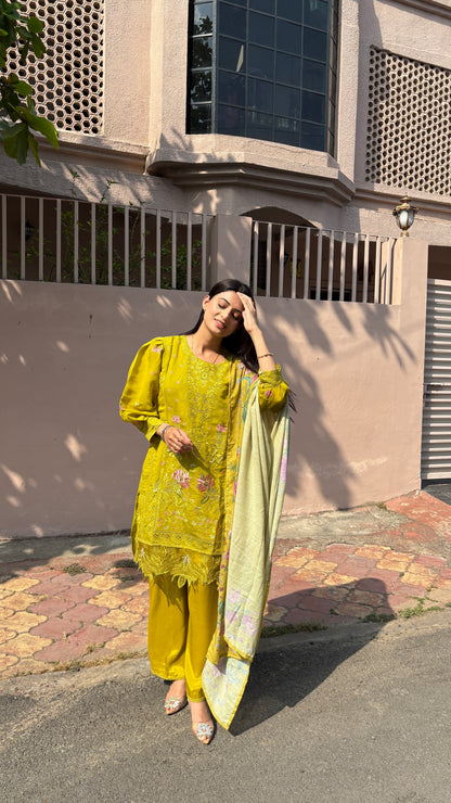 Meher Noor Kurta Set(MK329)