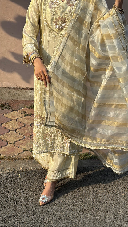 Inaya Pearl Kurta Set(GB325)