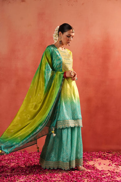 Lime Glow Sharara Set (AB196)